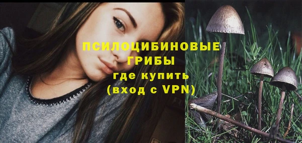 дмт Киреевск