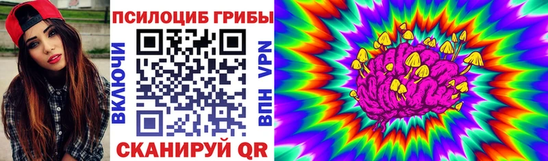 Псилоцибиновые грибы мицелий  Магадан 
